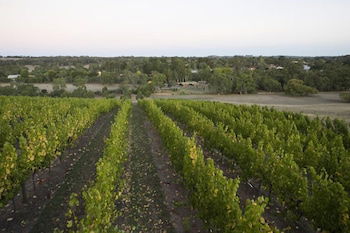 Barristers Block Vigneron Villa - New Castle Holiday 3