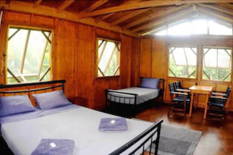 Daintree Rainforest Bungalows - New Castle Holiday 5
