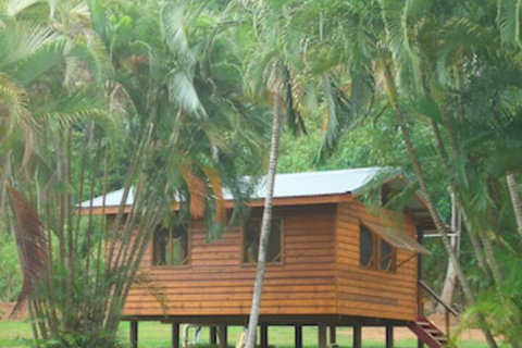 Daintree Rainforest Bungalows - New Castle Holiday 0