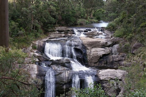 Toora Lodge Motel - New Castle Holiday 2