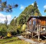 Southern Forest Accommodation - New Castle Holiday