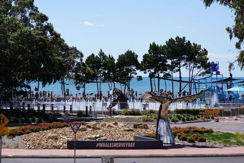 Beachside Motor Inn - New Castle Holiday 3