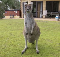 Yelverton Brook Conservation Sanctuary - New Castle Holiday