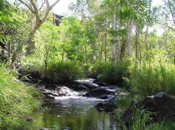 Mt Hart Homestead - New Castle Holiday 4