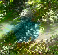 Palm Cove Tropic Apartments - New Castle Holiday