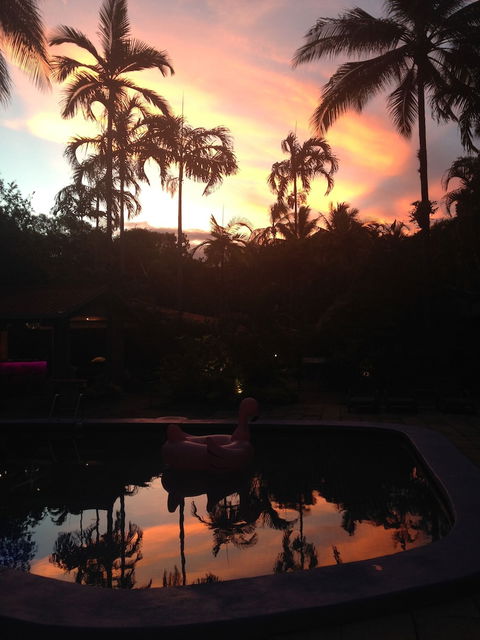 Pink Flamingo Resort - New Castle Holiday 6
