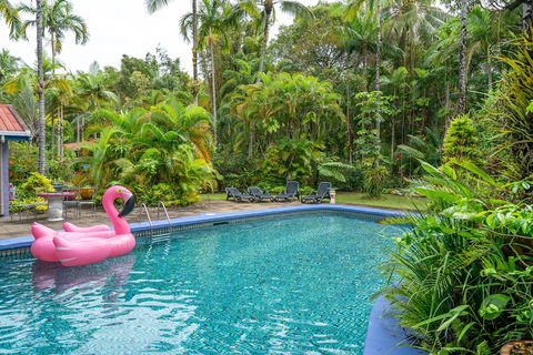 Pink Flamingo Resort - New Castle Holiday 5