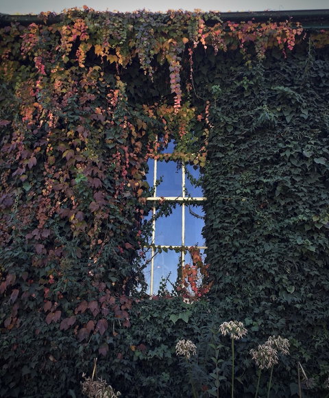 Berida Hotel - New Castle Holiday 0