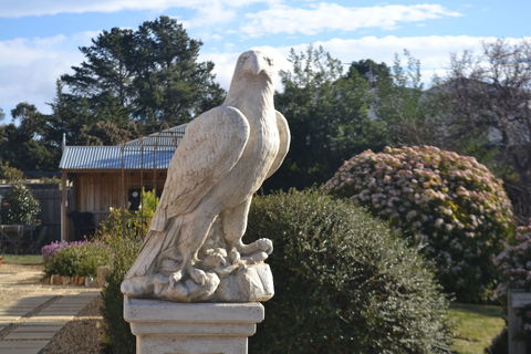 Mulberry Cottage B&B - New Castle Holiday 4