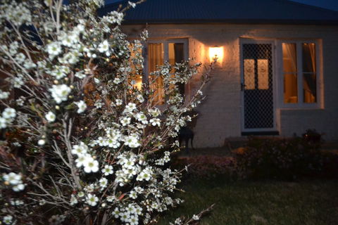 Mulberry Cottage B&B - New Castle Holiday 6