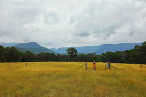 Maya Sanctuary - New Castle Holiday 0