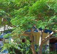 Amber Gardens Guesthouse - New Castle Holiday