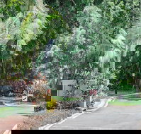 Oasis at Palm Cove - New Castle Holiday