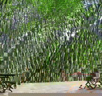 Azabu Boutique Accommodation Byron Bay - New Castle Holiday