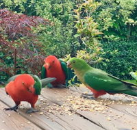 Crimson Villa - New Castle Holiday