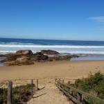Bellbird Cottage B & B - New Castle Holiday 0