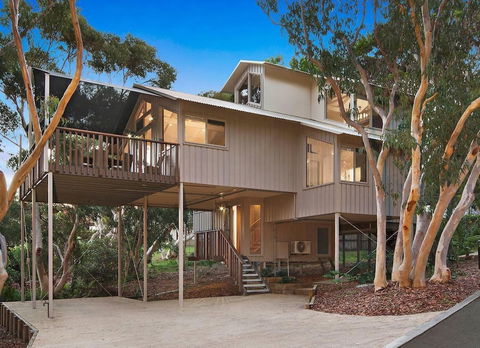 The Oasis Apartments And Treetop Houses - New Castle Holiday 2