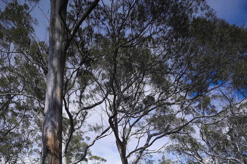 Rocky Hills Retreat - New Castle Holiday 7