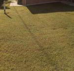 GOLDEN LACE B  B - New Castle Holiday