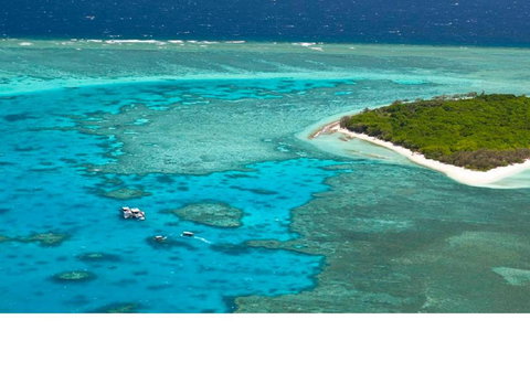 Reef Suite - New Castle Holiday 3