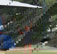 Blackwattle at Barrington Tops - New Castle Holiday