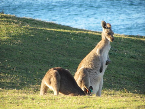 Lake Russell Retreat - New Castle Holiday 6