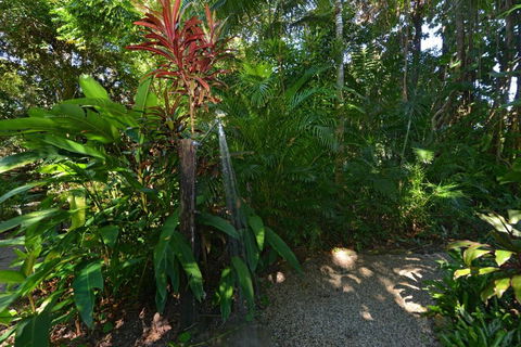 Drifting Port Douglas - New Castle Holiday 5