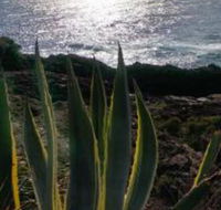 Ven  Marks Place - New Castle Holiday