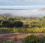 Pecan Hill BNB - New Castle Holiday