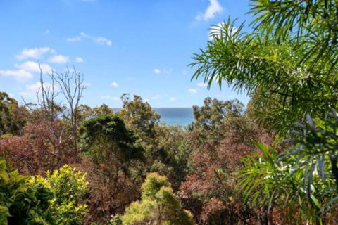 Arcadia - New Castle Holiday 7