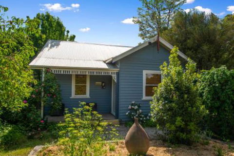 Ultimate Ultimo - New Castle Holiday 0