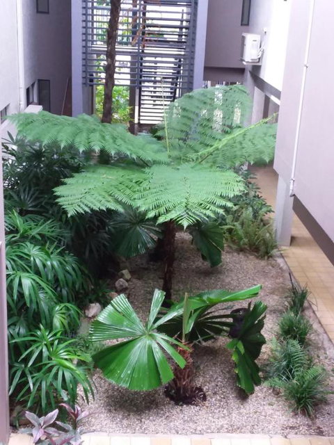 Jackies Studio Apartment - New Castle Holiday 5