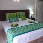 Jackies Studio Apartment - New Castle Holiday 0