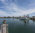 Bayside Beauty - New Castle Holiday