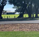 Yaringa cottage...by the sea - New Castle Holiday