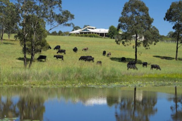 Wang Wauk NSW New Castle Holiday