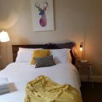 Cute Cottage On Byng Walk To Town & Pet Friendly - New Castle Holiday 0