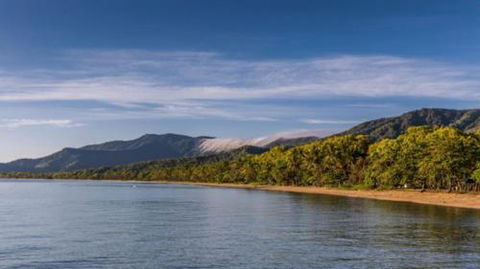 RED COWRIE 321atPALM COVE - New Castle Holiday 3
