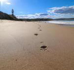 Surfers Paradise at Catherine Hill Bay - New Castle Holiday