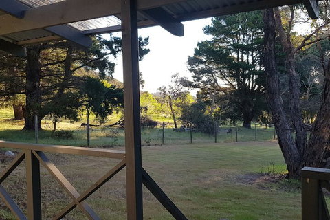 Heysen's Rest Bed & Breakfast - New Castle Holiday 2