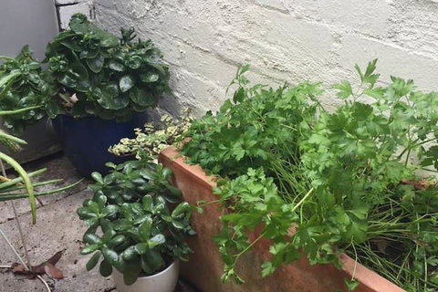 Charming Cottage With Leafy Courtyard - New Castle Holiday 7