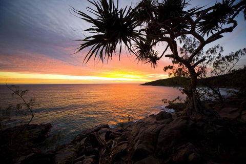 Low Tide On Noosa Sound Pet Friendly - New Castle Holiday 4