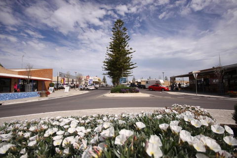 Ceduna Foreshore Caravan Park - New Castle Holiday 1