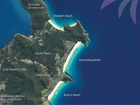 Picture Perfect Lizzie Palms 2 - New Castle Holiday 6