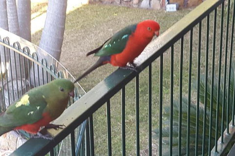 Serenity - New Castle Holiday 5