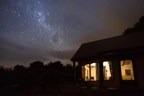 Herons Rise Vineyard Accommodation - New Castle Holiday 3