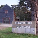 Herons Rise Vineyard Accommodation - New Castle Holiday 0
