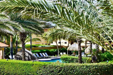 Noord 121 - New Castle Holiday 1