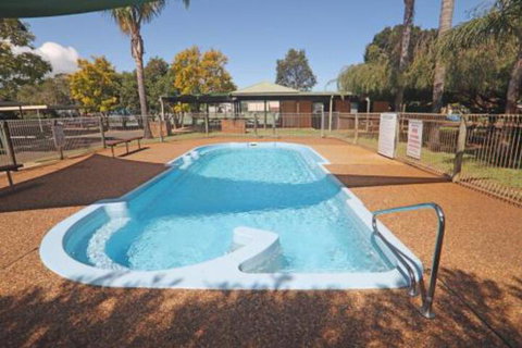 Driftwood - New Castle Holiday 0