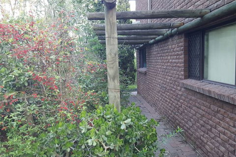 Gowrie Agapanthous - New Castle Holiday 5